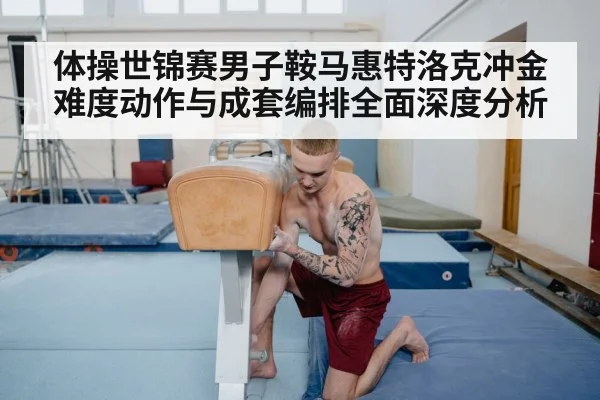 male gymnast pommel horse routine